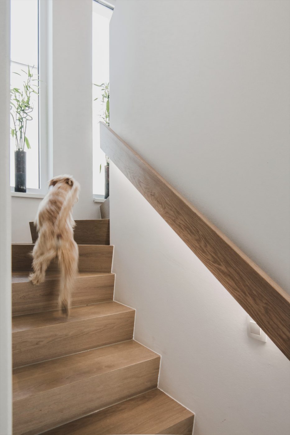 Hiša v osrčju mesta