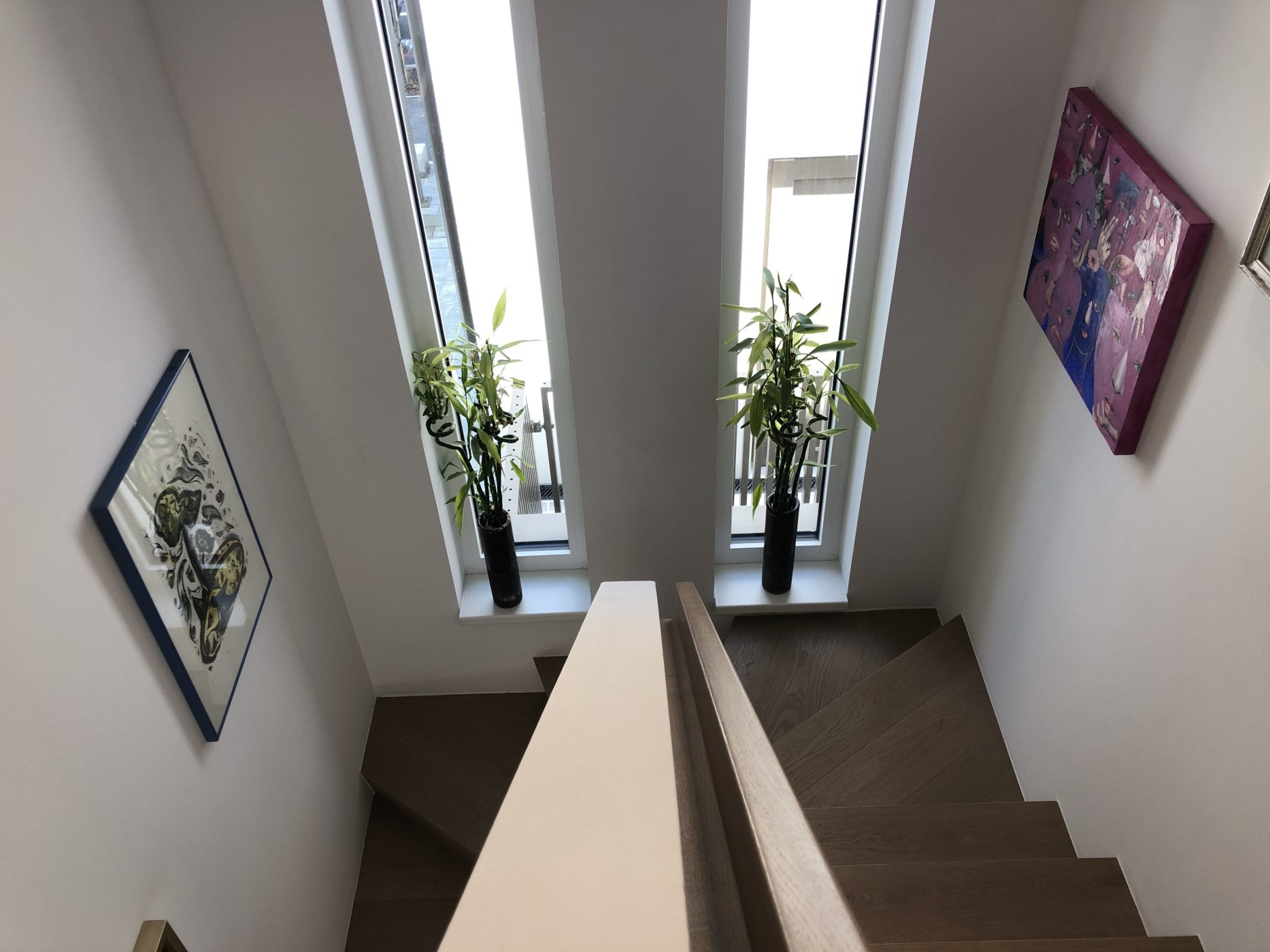 Hiša v osrčju mesta