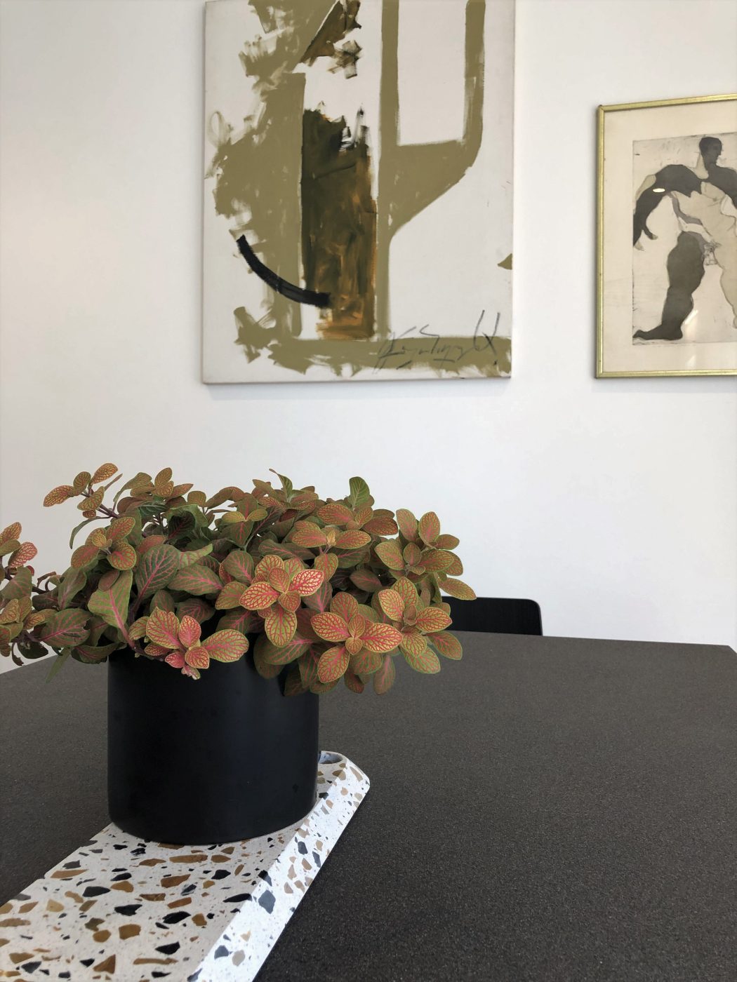 Hiša v osrčju mesta